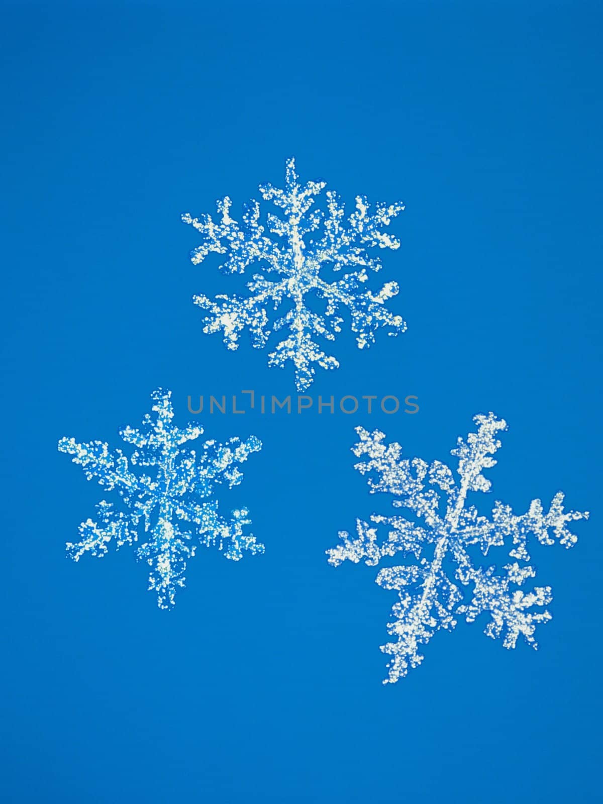 Snowflake by Baltus