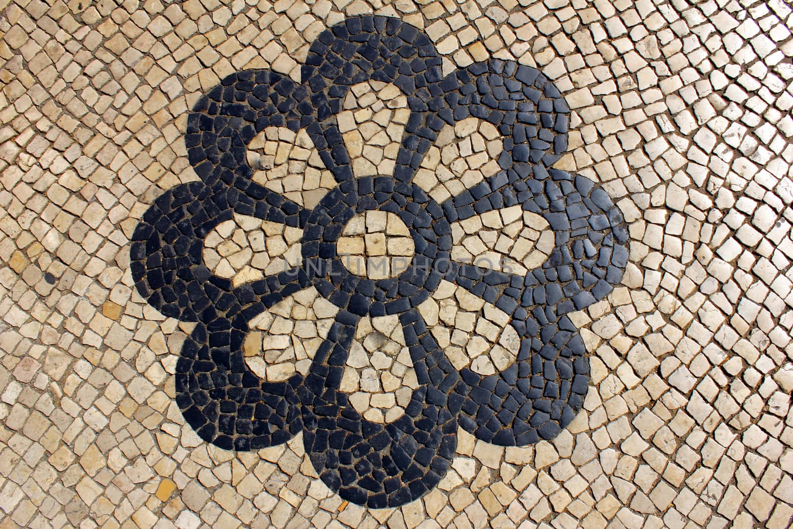 Detail of the famous portuguese pavement