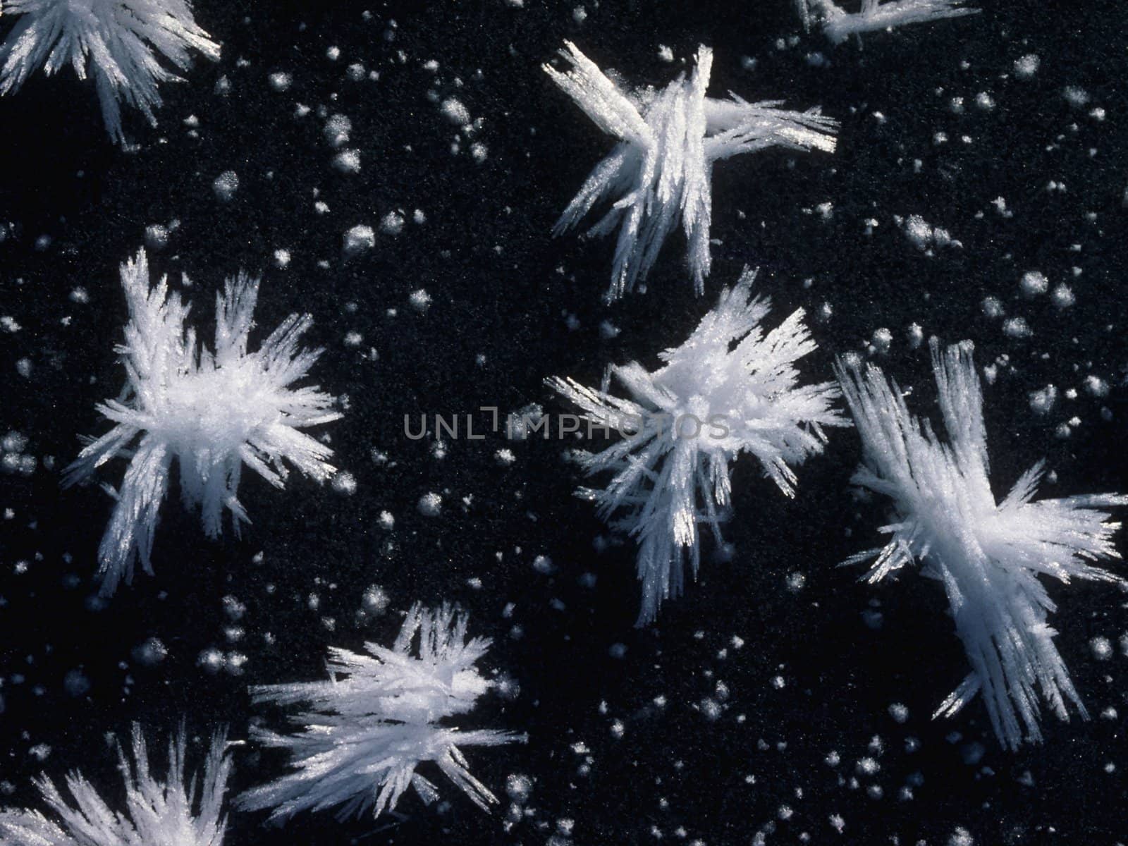 Snowflakes by Baltus