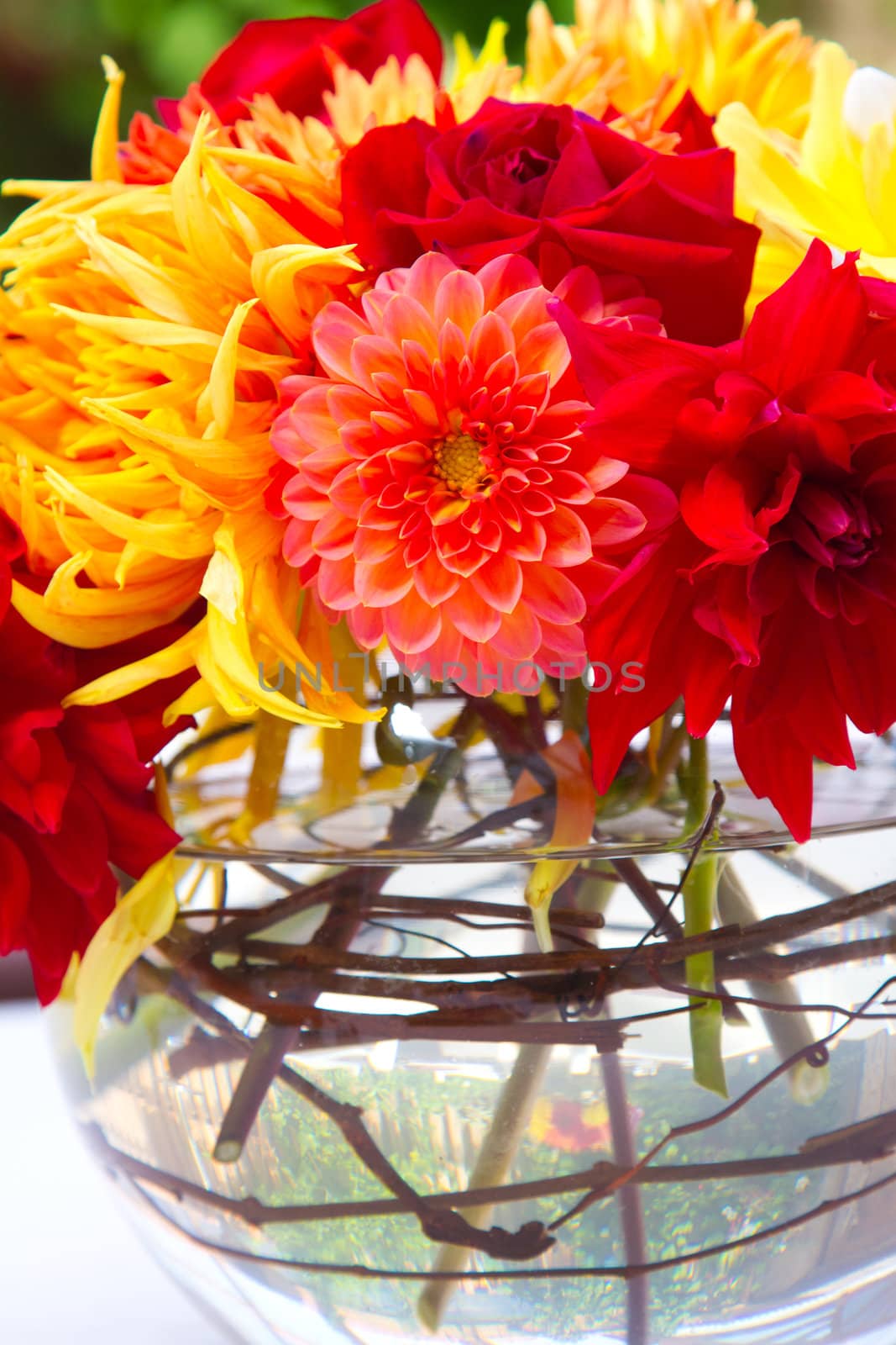 Wedding decor at a ceremony and reception with beautiful red and yellow flowers.