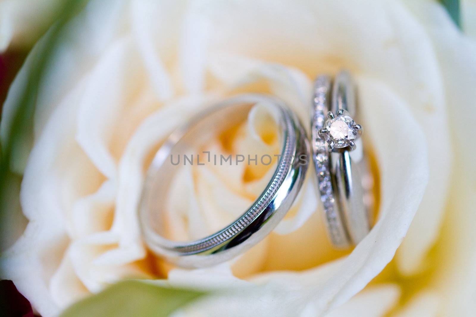 A bride and groom wedding rings photographed in an artistic wedding pictures sort of way with nobody in the image.