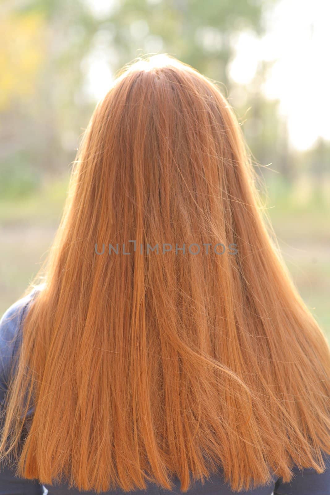 Gorgeous redhead girls hair from back. Outdoors