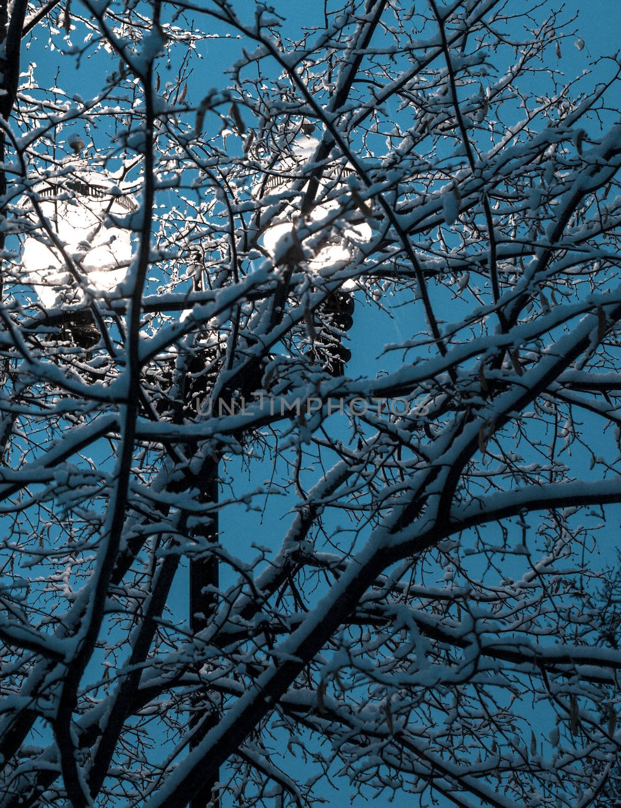 winter street light among snowy frozen tree branches