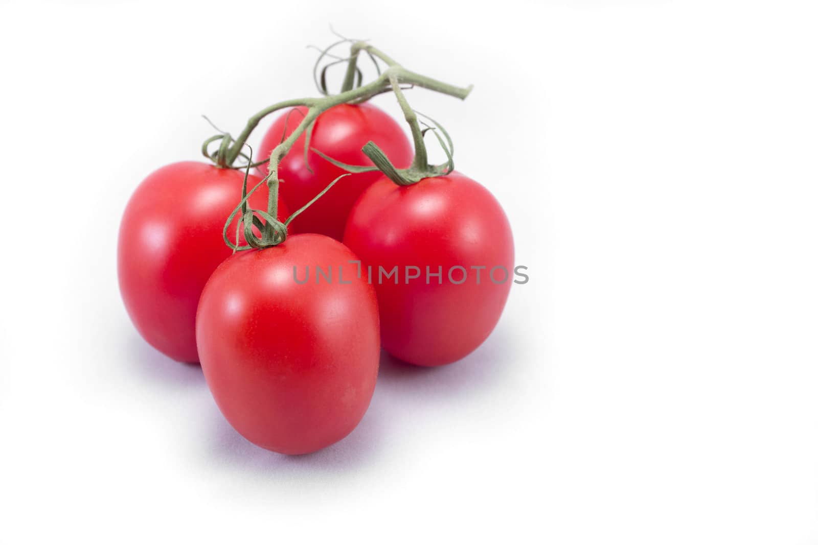 Tomatoes with vine isolated on white by jeremywhat