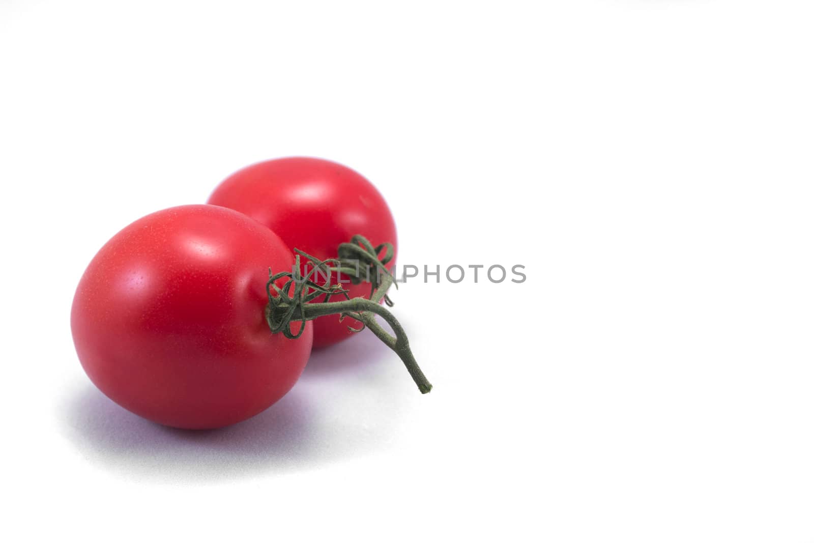 Ripe Tomatoes with vine isolated on a white background.