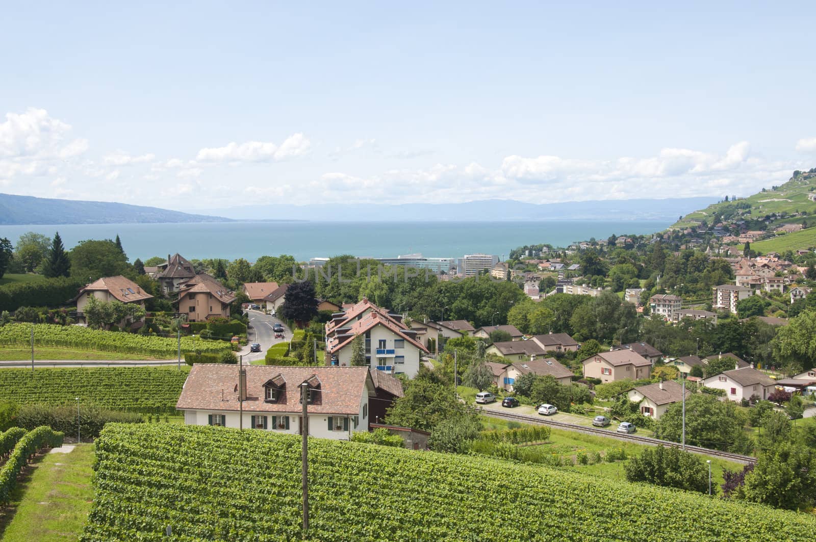 Houses amidst vineyards by Lake Geneva in Vevey, Switzerland







Houses amidst vineyards in Vevey, Switzerland