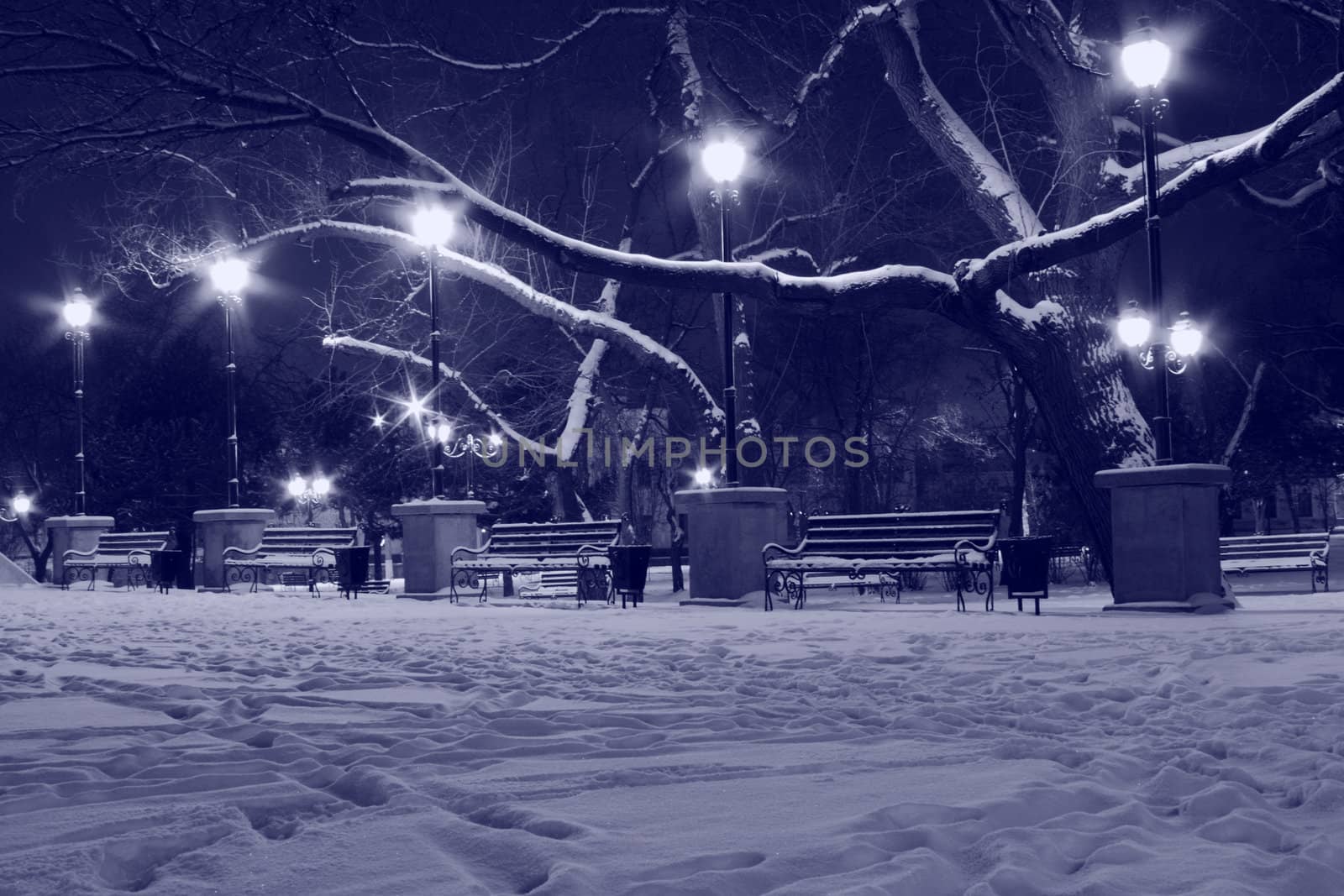 lanterns and benches in a park at winter night