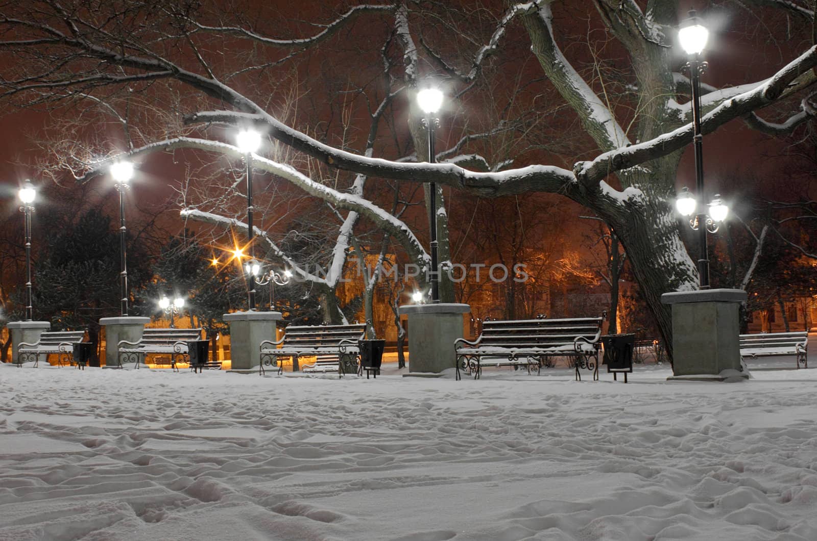 lanterns and benches in a park at winter night