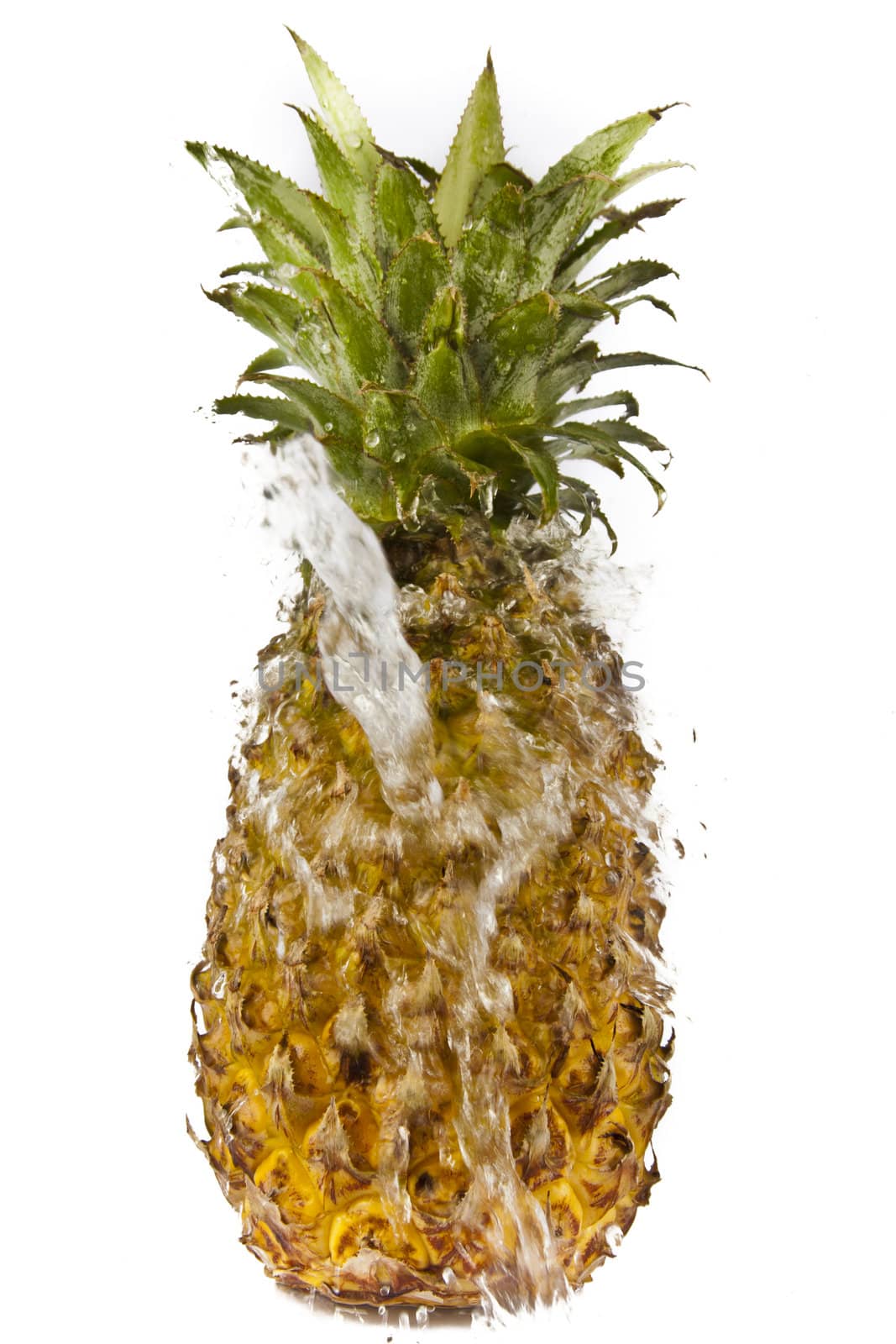 Pineapple with water splash







Pineapple water splash