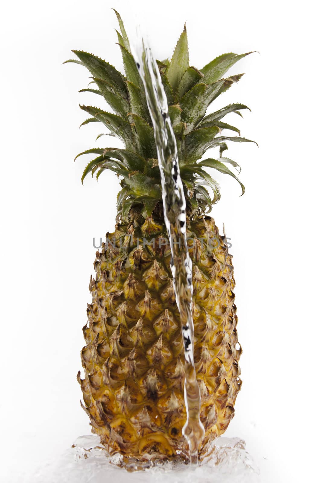 Pineapple with water splash