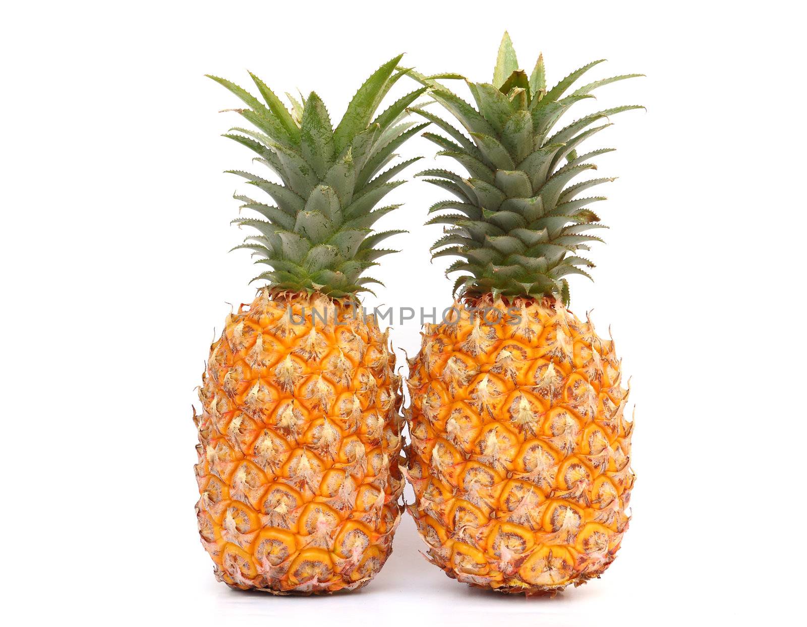 Two ripe pineapples isolated on white