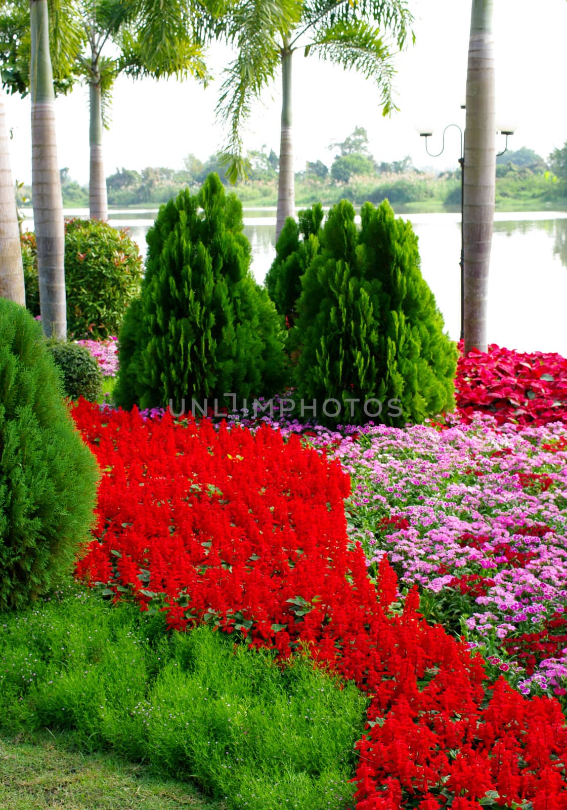 Romantic garden with river background in Chiang Rai, Thailand