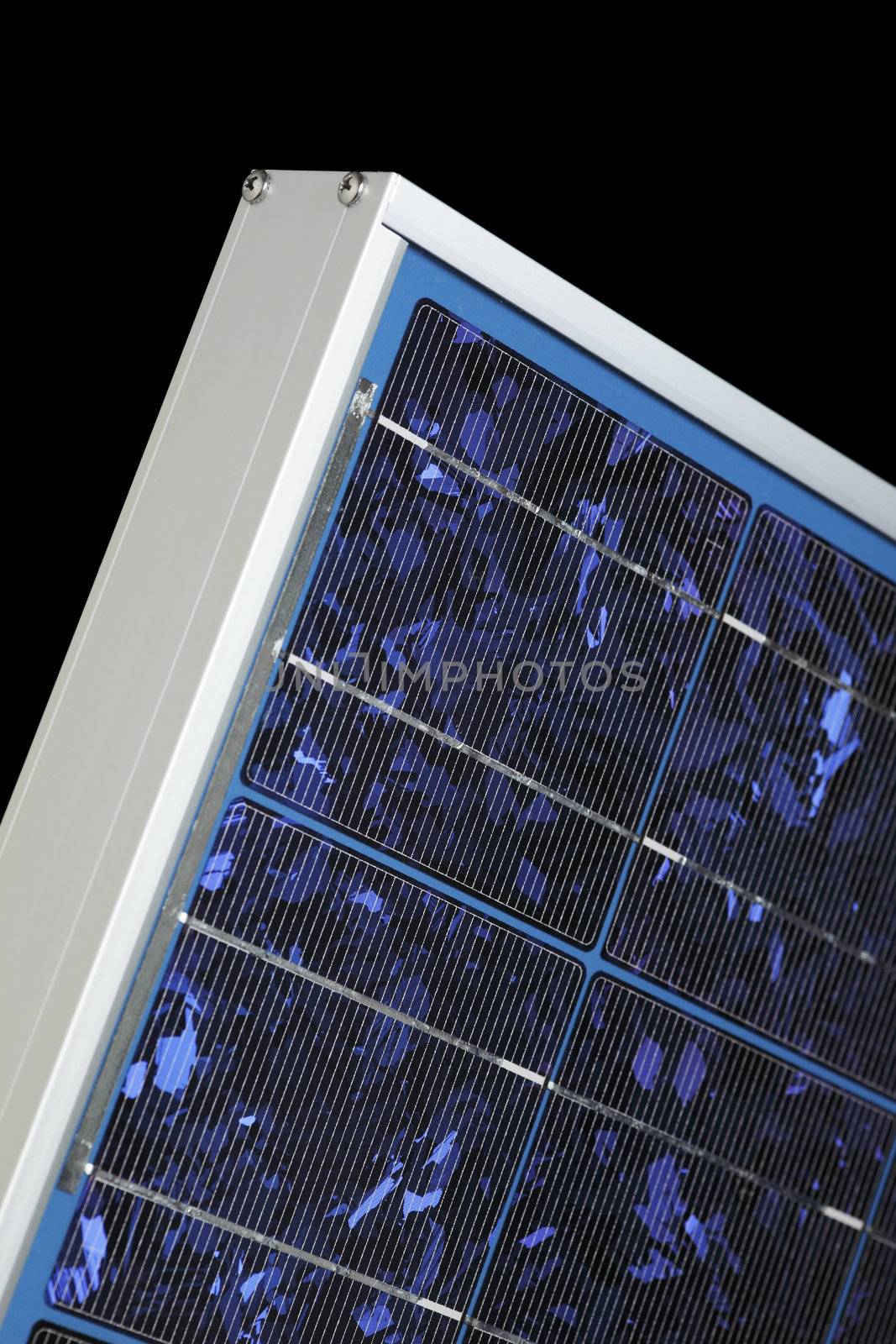Solar Panel by Stocksnapper