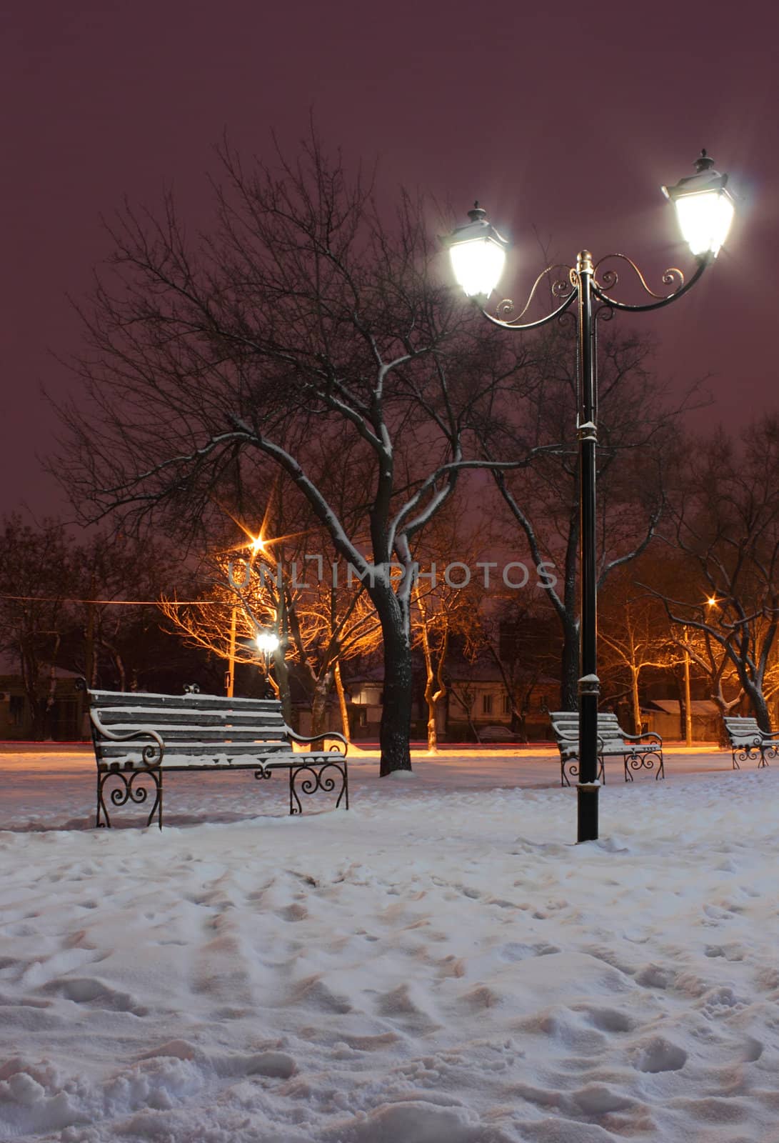 park at winter night by romantiche