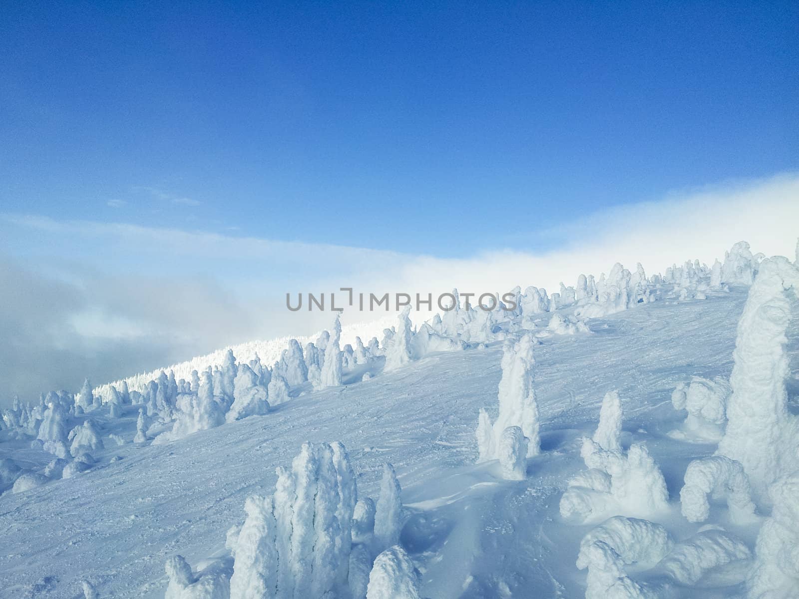 Beautiful sunny day on mountain top, smooth snowy hills and snow surface, clear and blue sky, cold windy day on glacier, winter