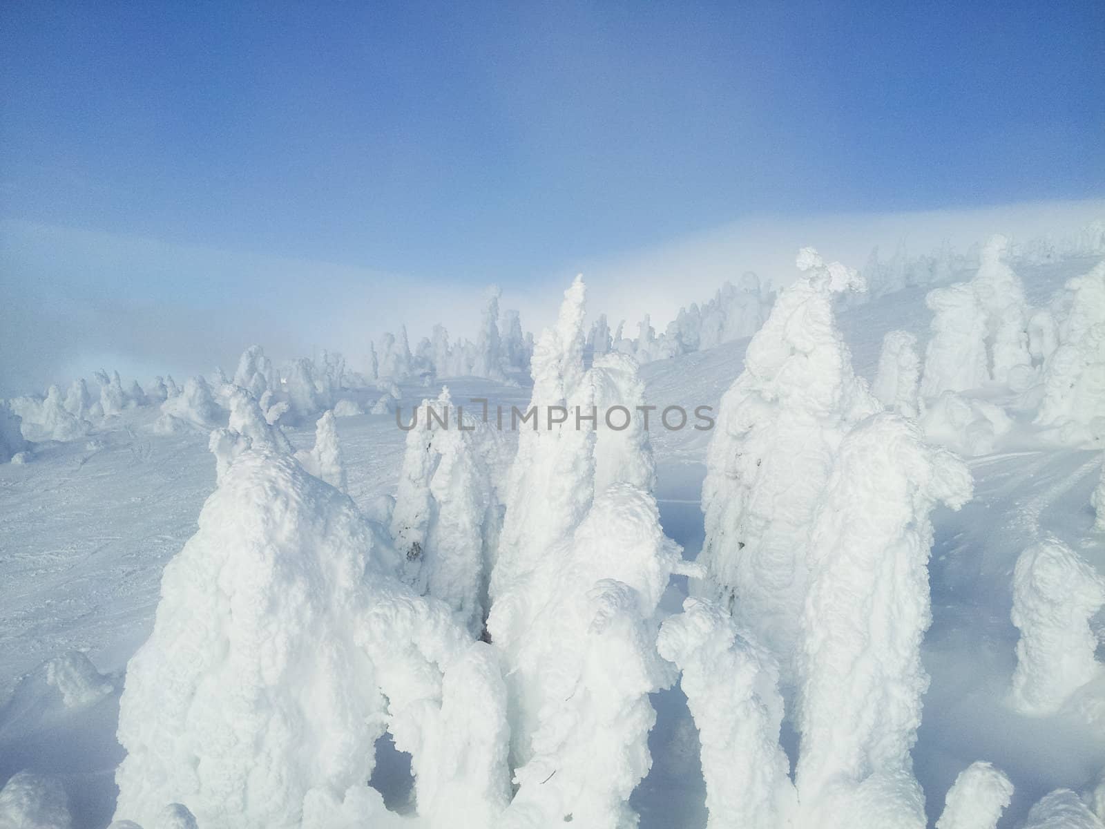 snowy mountain by toliknik