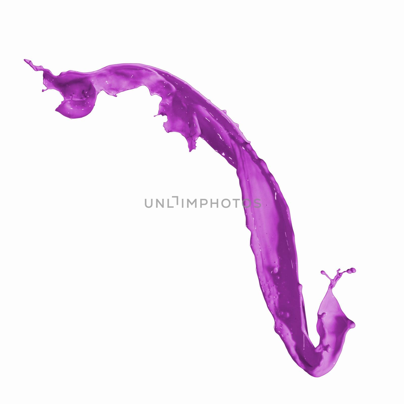 Bright purple colour paint splash on white background