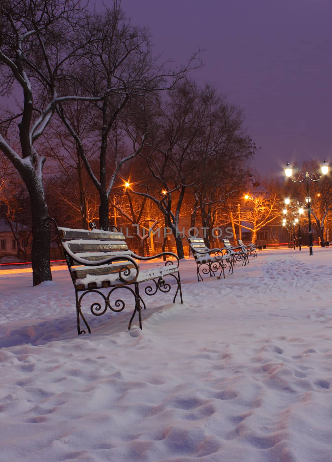 row of benches in park at winter