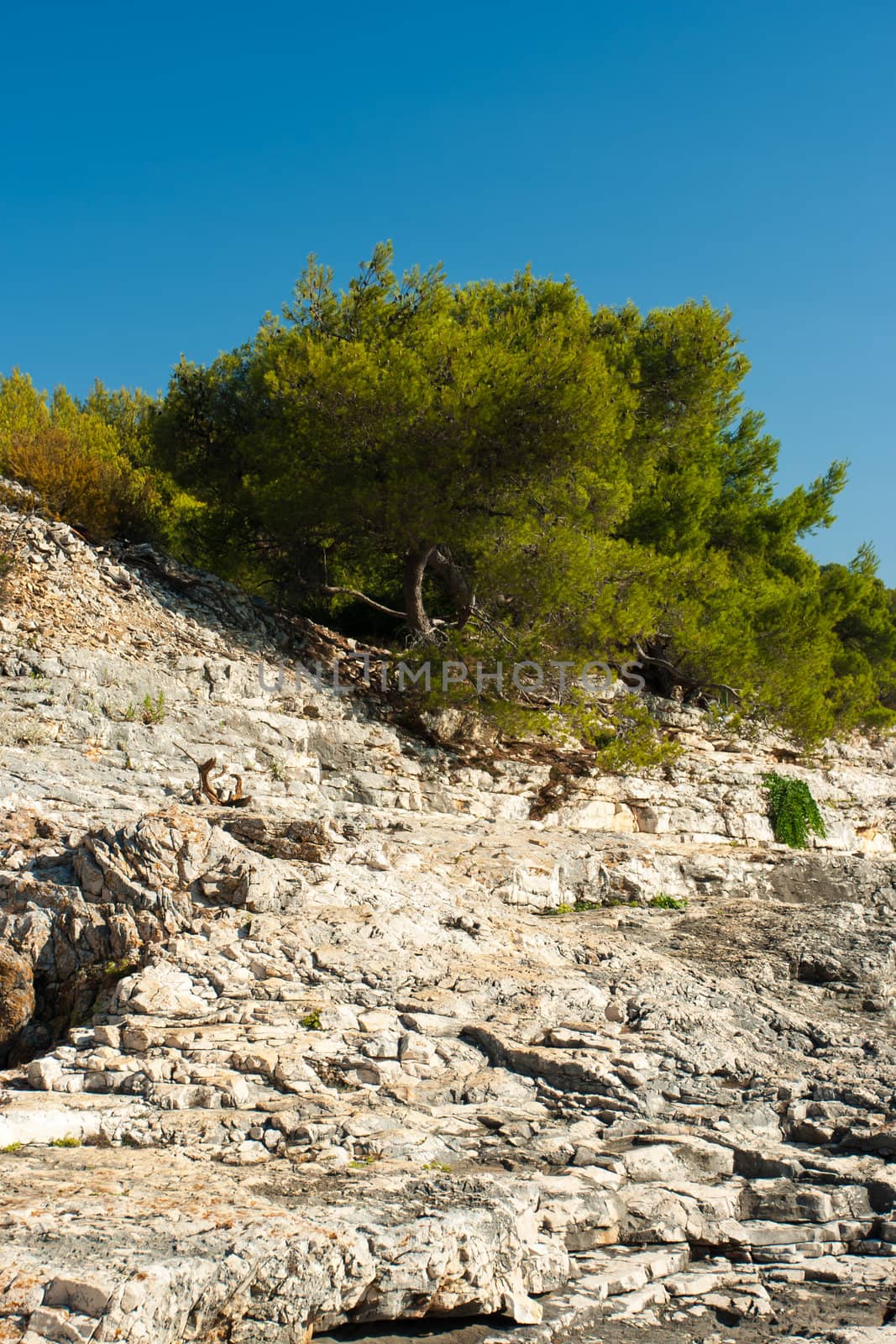 rocky scrubby landscape from vis island (croatia)