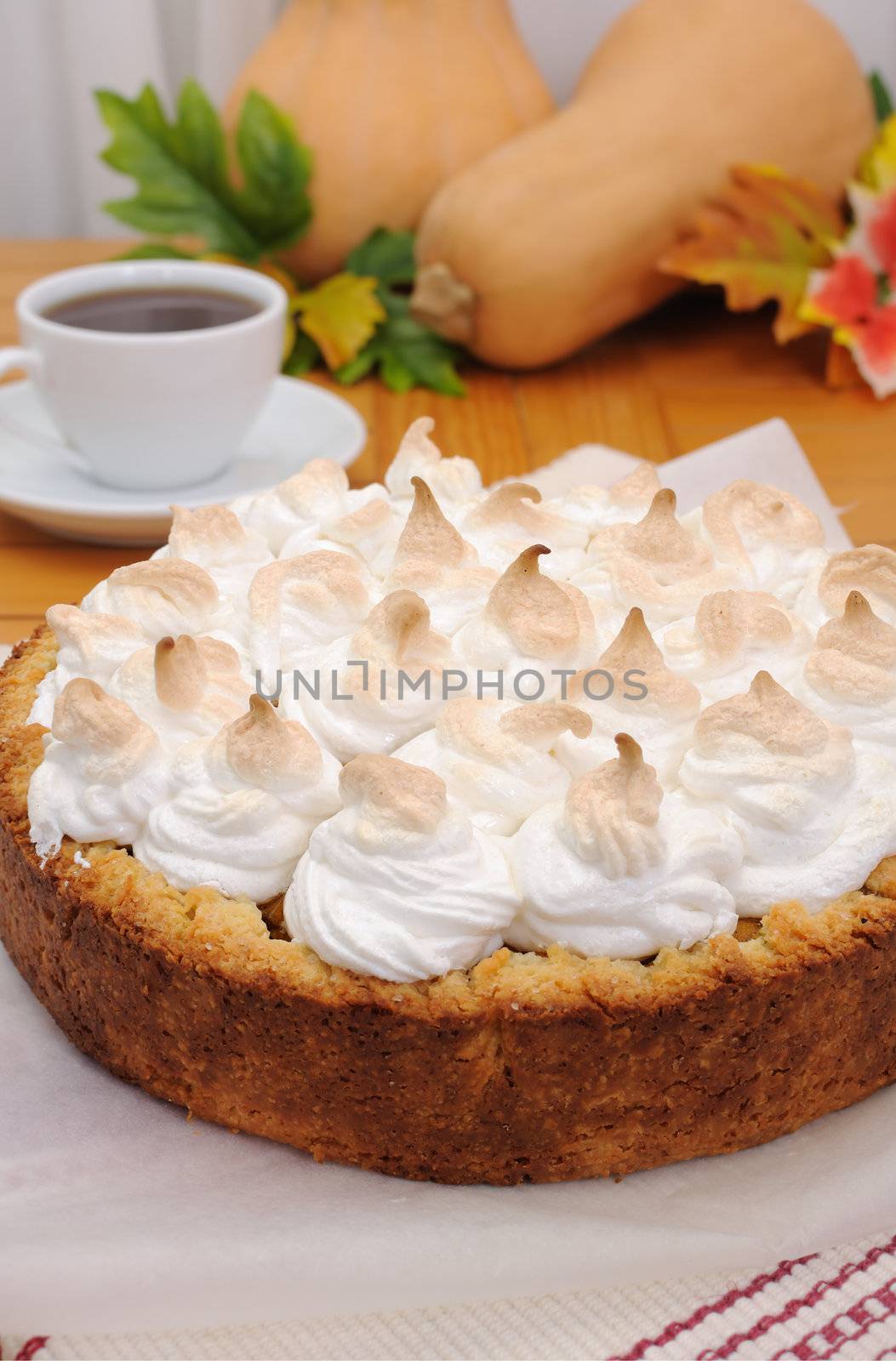 Pumpkin Pie by Apolonia