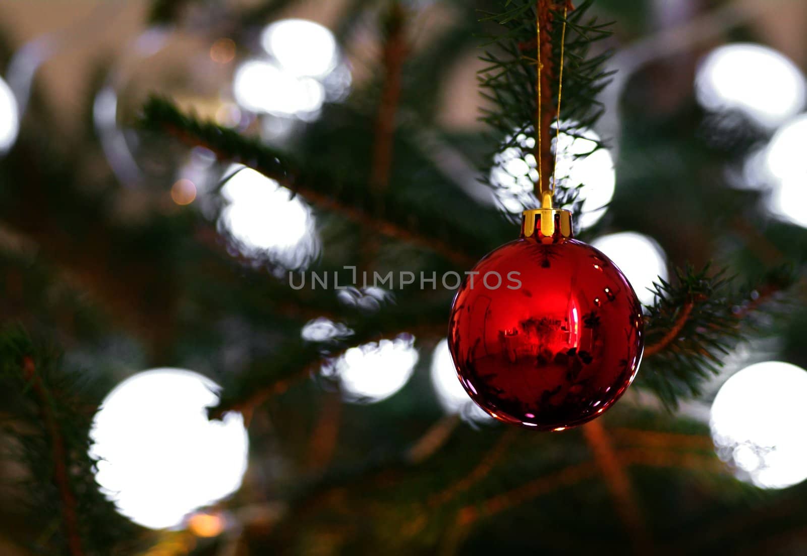 Christmas ball in glass hanging in tree