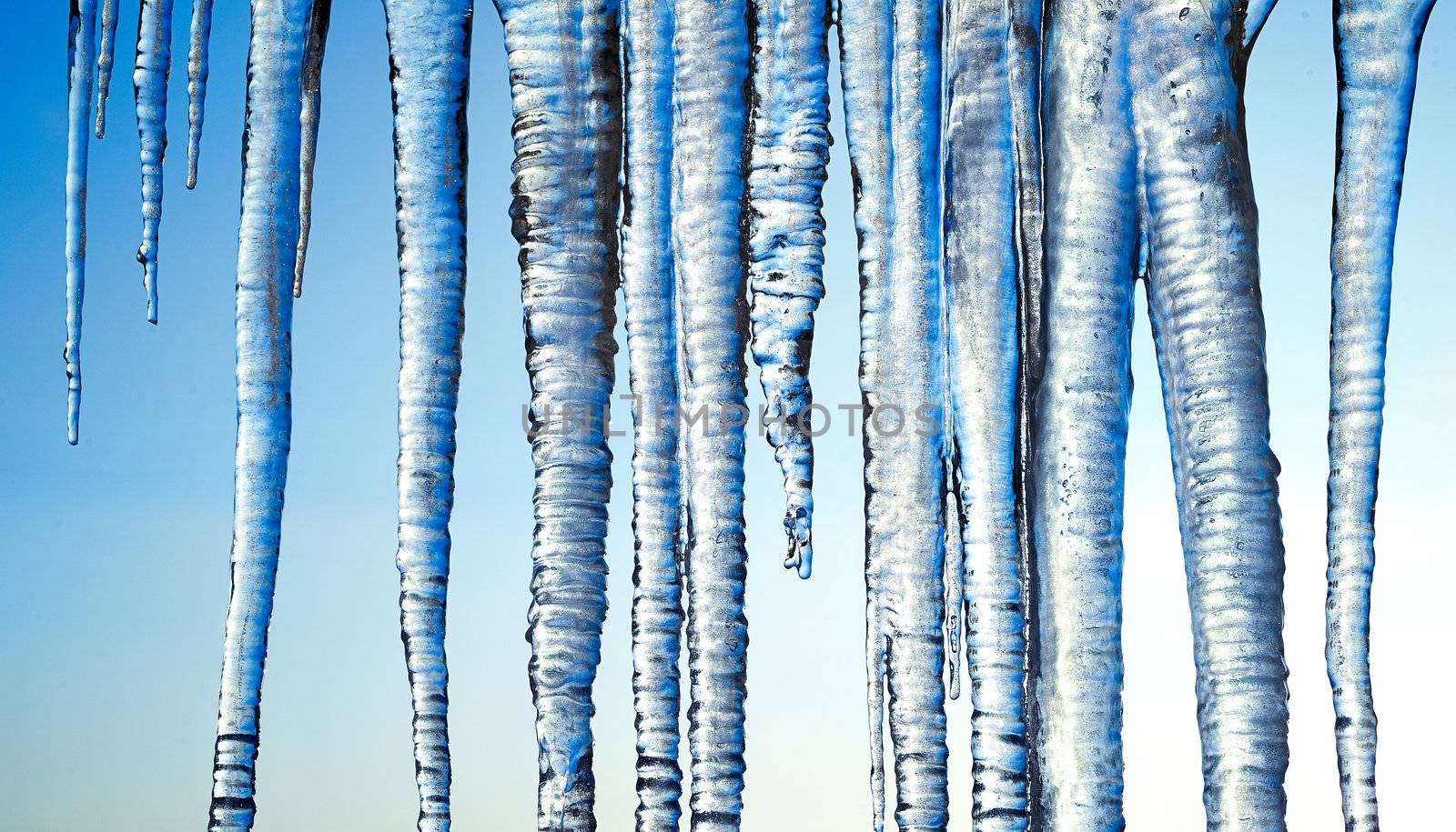 Long Icicles Isolated on Blue Sky by kirs-ua