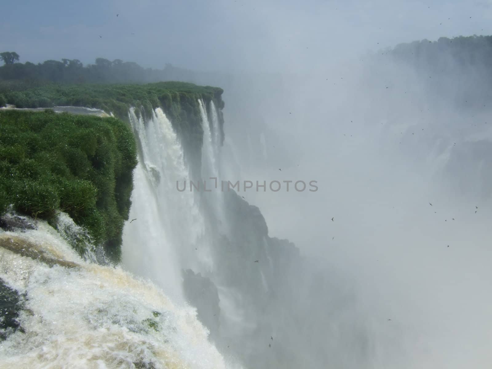 Iguacu Falls National Park, Cataratas del Iguazu  by eldervs