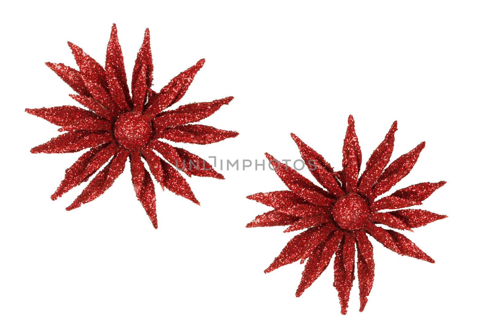 Red christmas decoration flower isolated on white