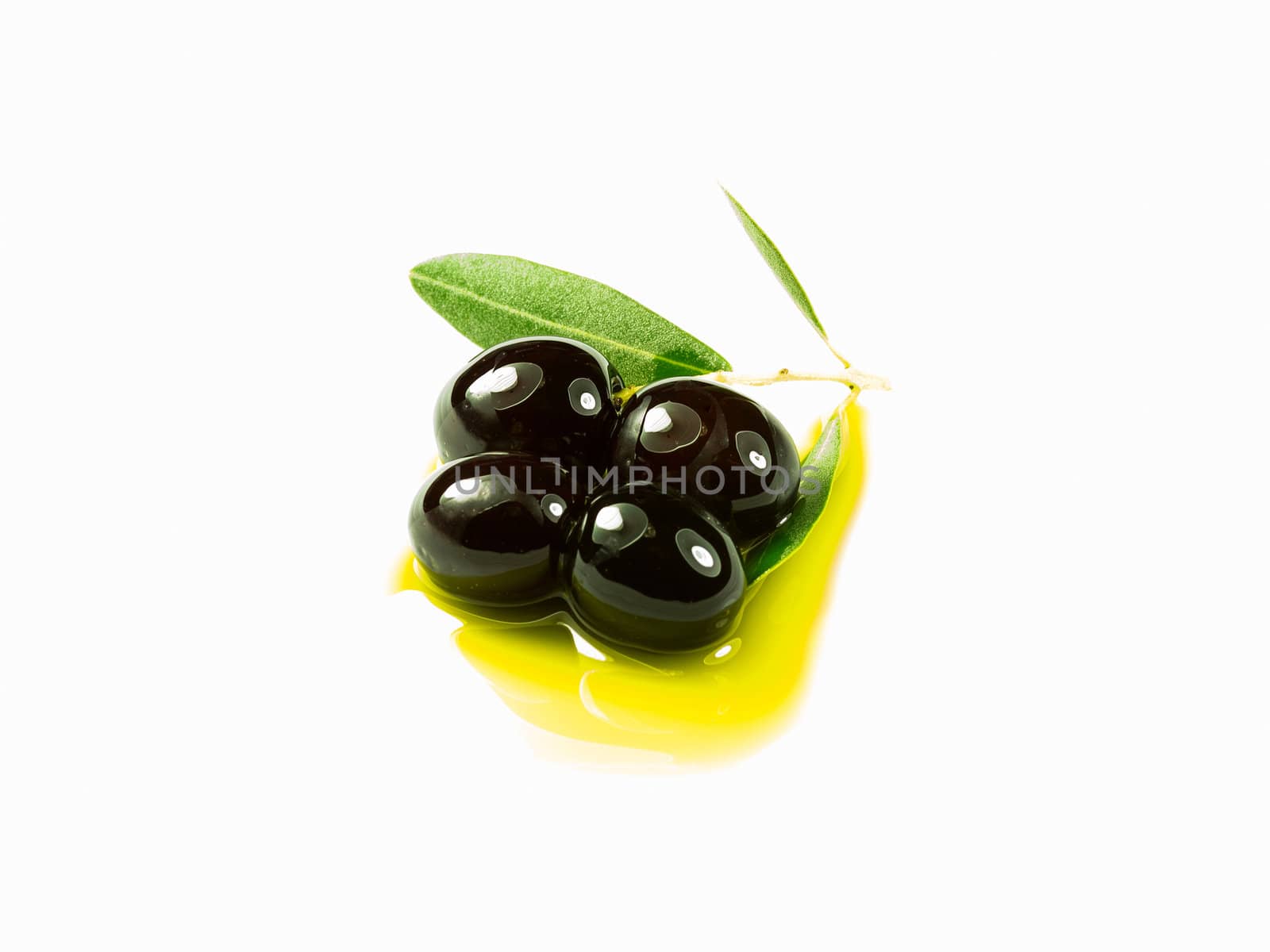 An olive branch with three premium olives on some olive oil on a white background.