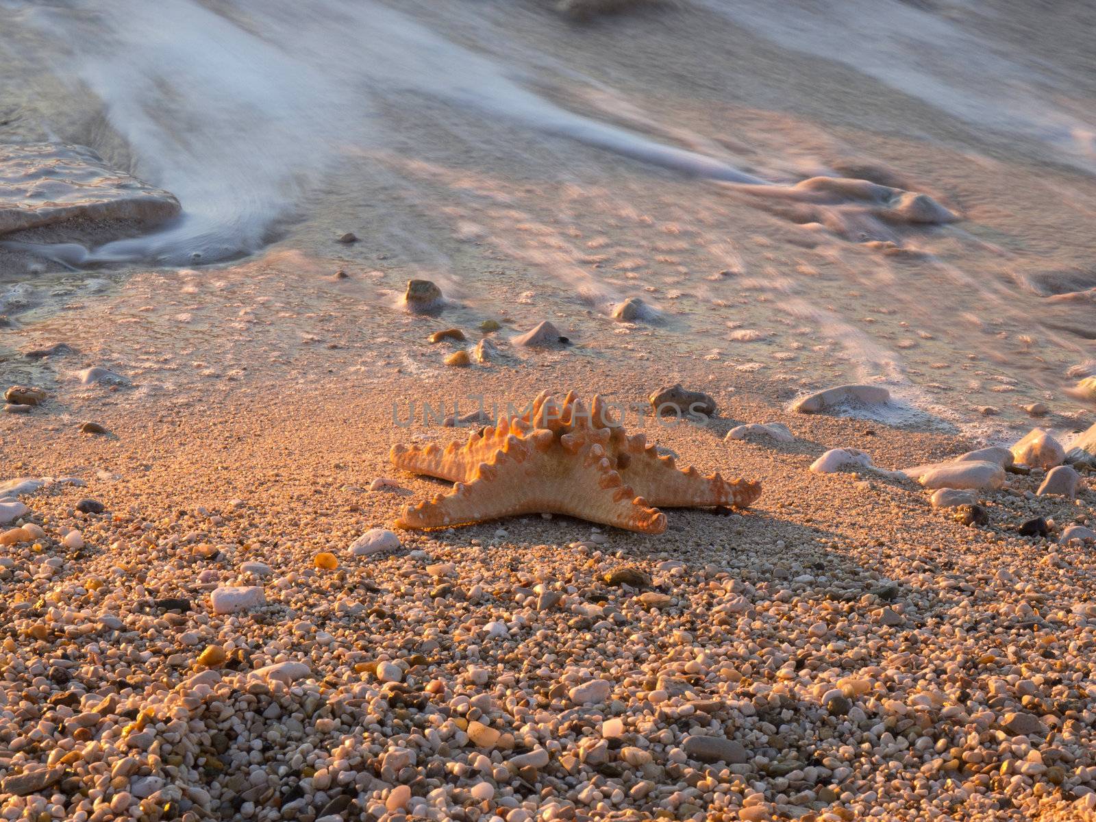 Summer vacations - starfish on sunset sea sand beach