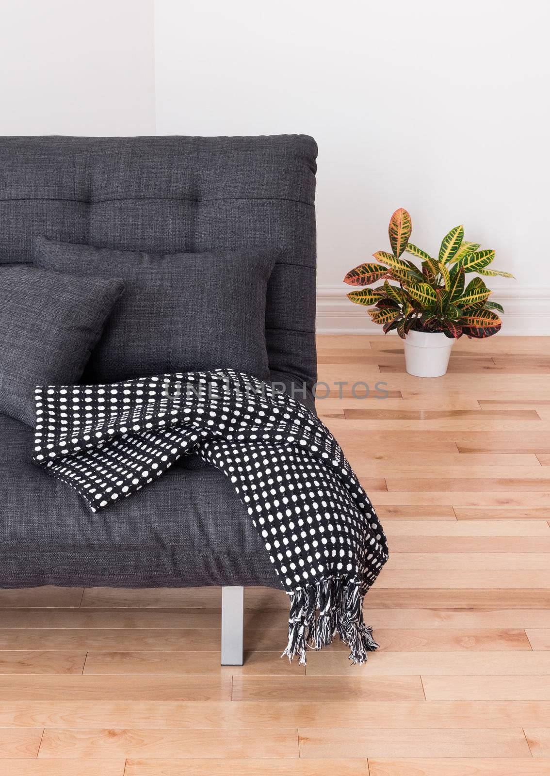 Living room detail. Gray sofa with cushions and throw, and colorful plant.