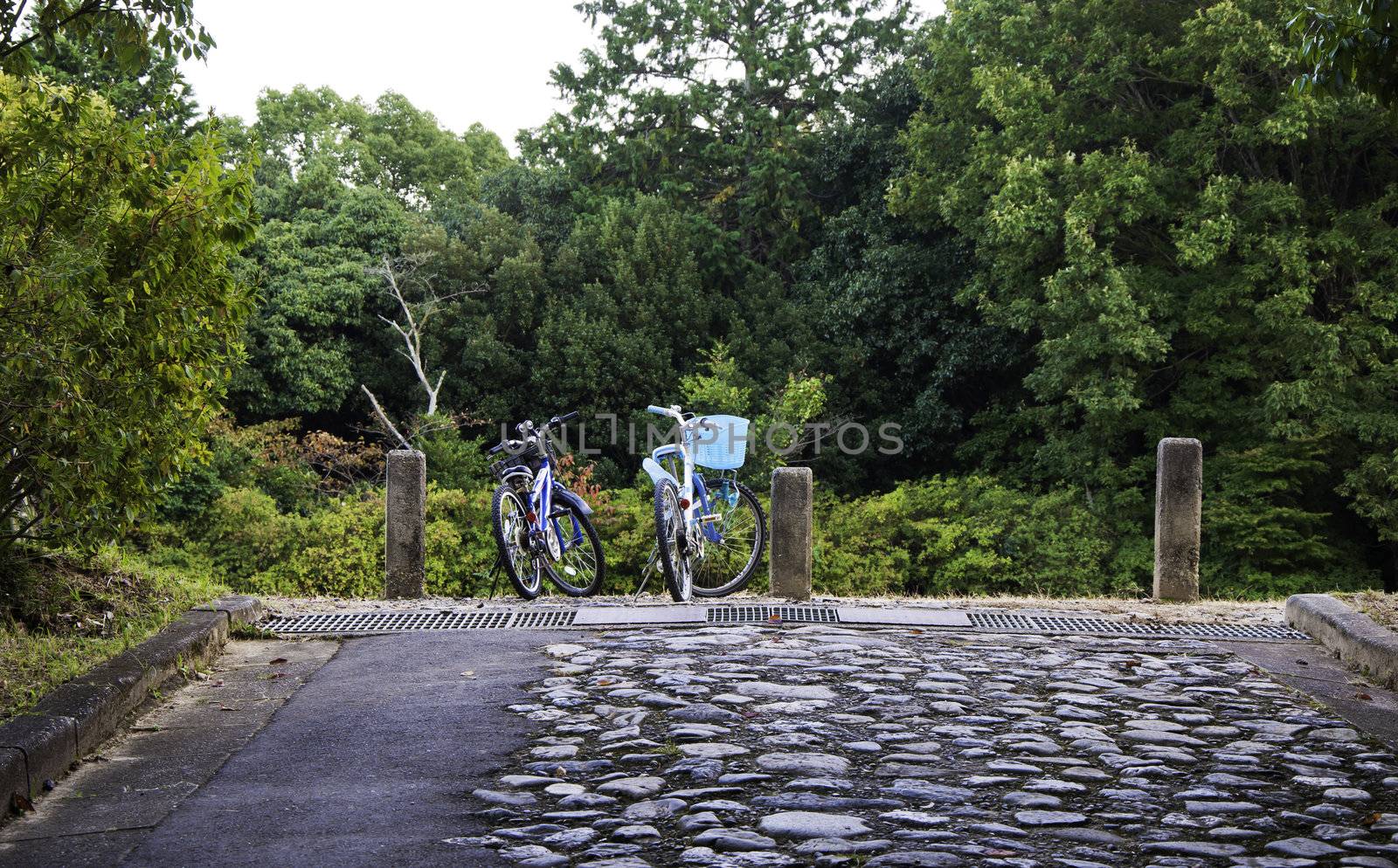 Bicycles of couple in countryside  by siraanamwong