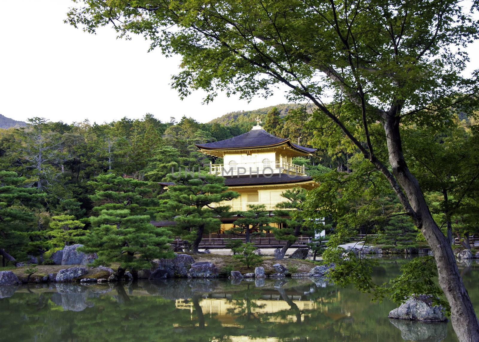 Kinkakuji in autumn season at Kyoto, Japan.  by siraanamwong