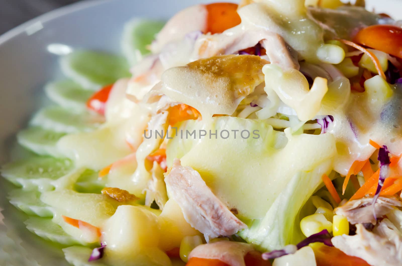 close up chicken  and fresh vegetable salad  with  creamy sauce 
