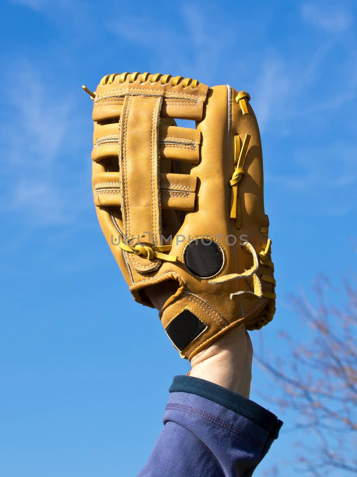 hand in baseball glowe waiting for ball