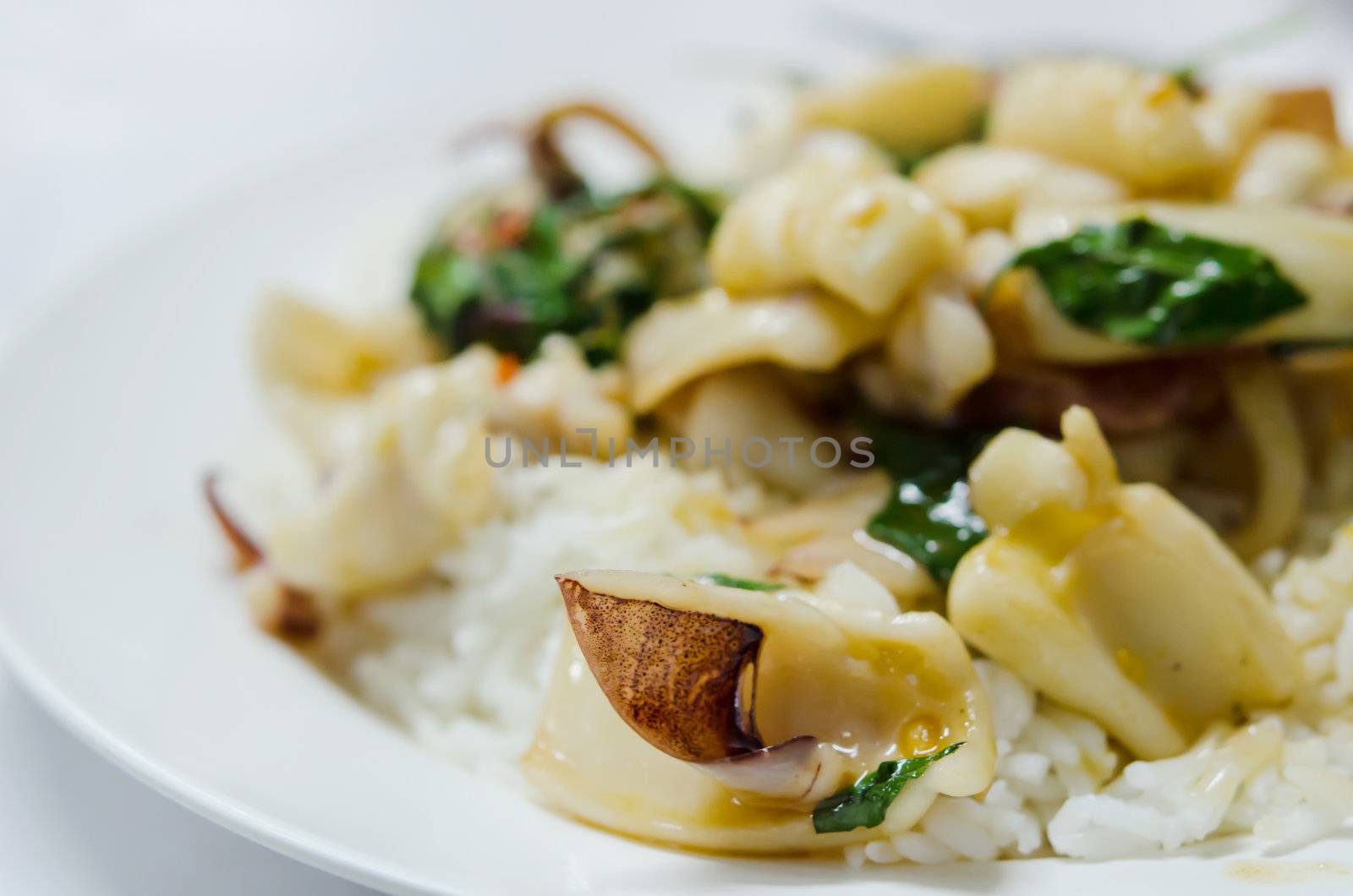 squid  fried with chili pepper and sweet basil and rice