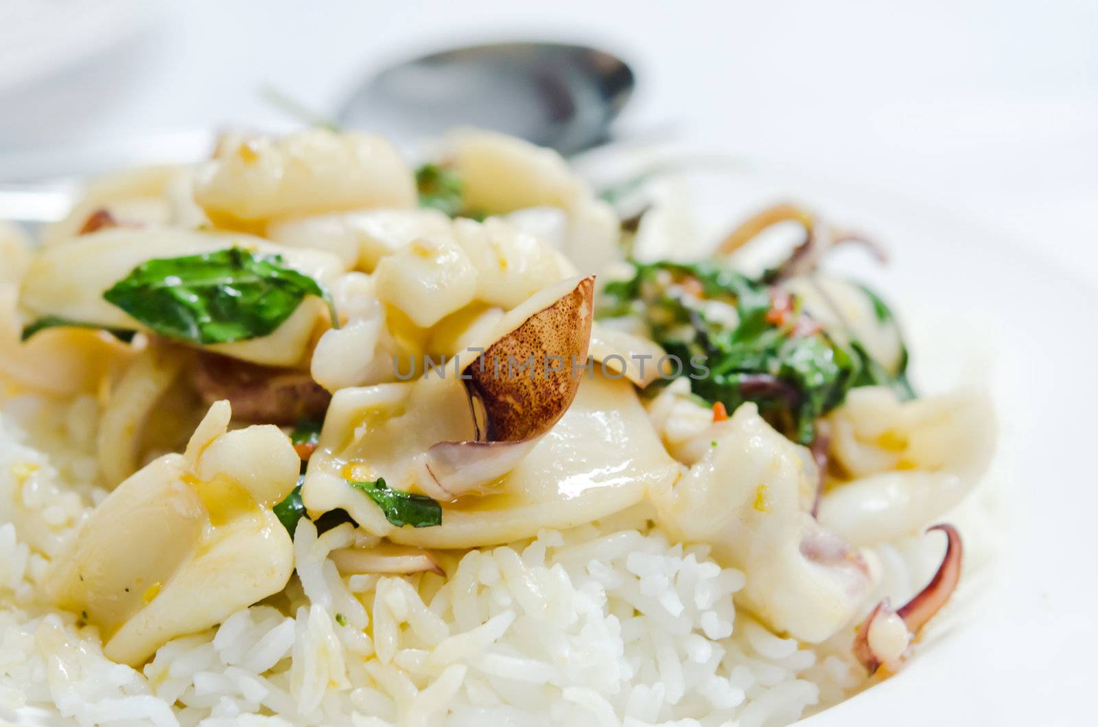 squid  fried with chili pepper and sweet basil over  rice