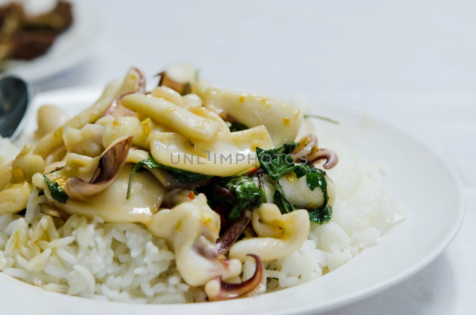 squid  fried with chili pepper and sweet basil and rice , spicy thai dish