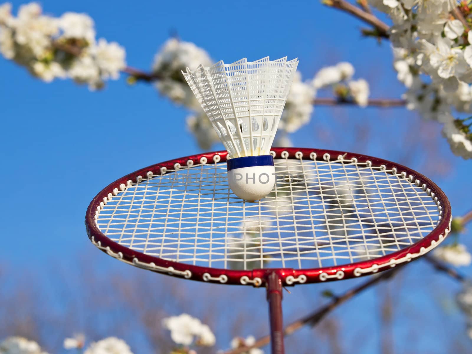 badminton on the open air in the spring