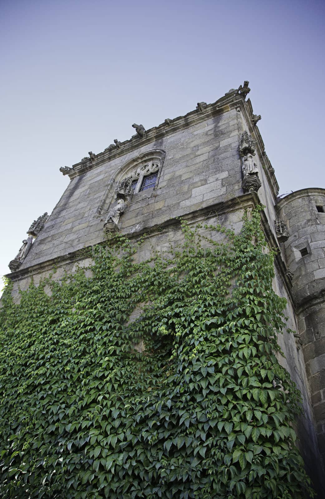 Old castle in Portugal, detail of a ruin with plants