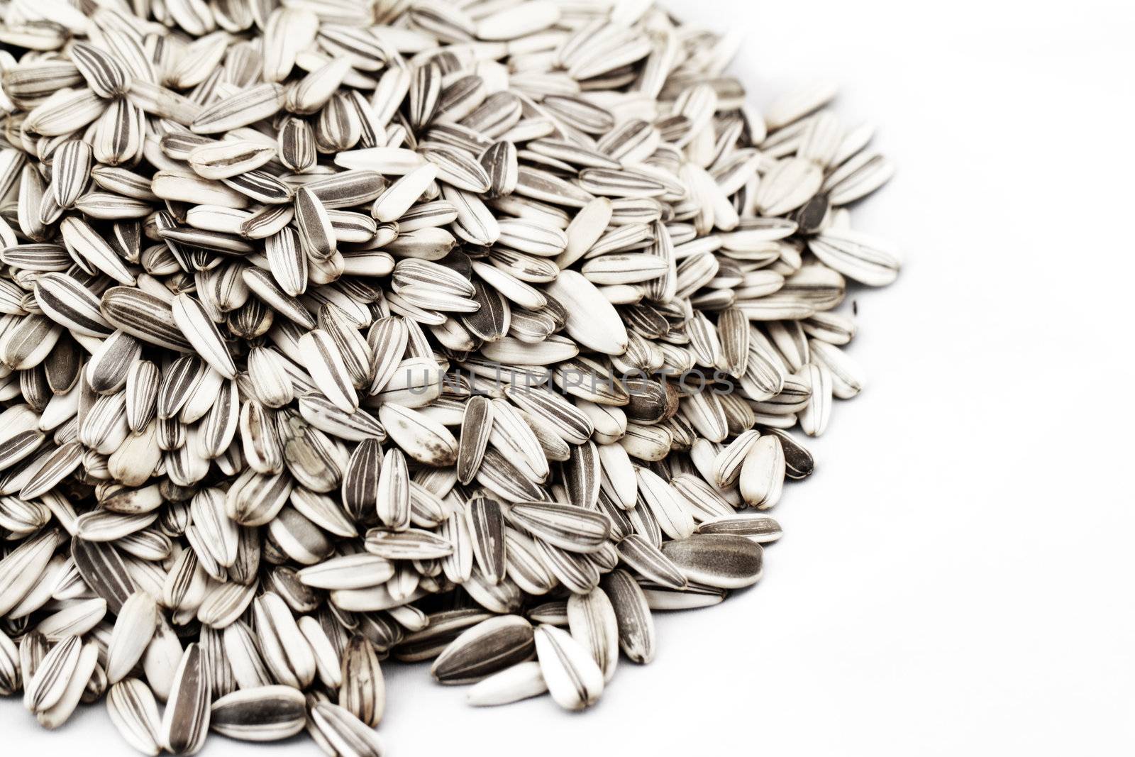 Sunflower seed isolated on white background