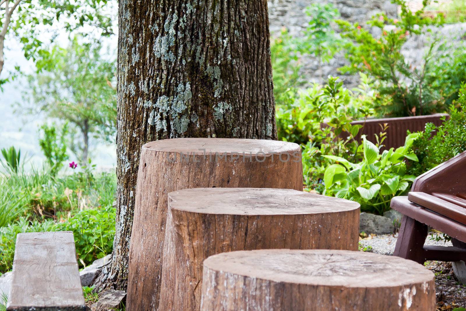 three  different wooden tables and tree in garden