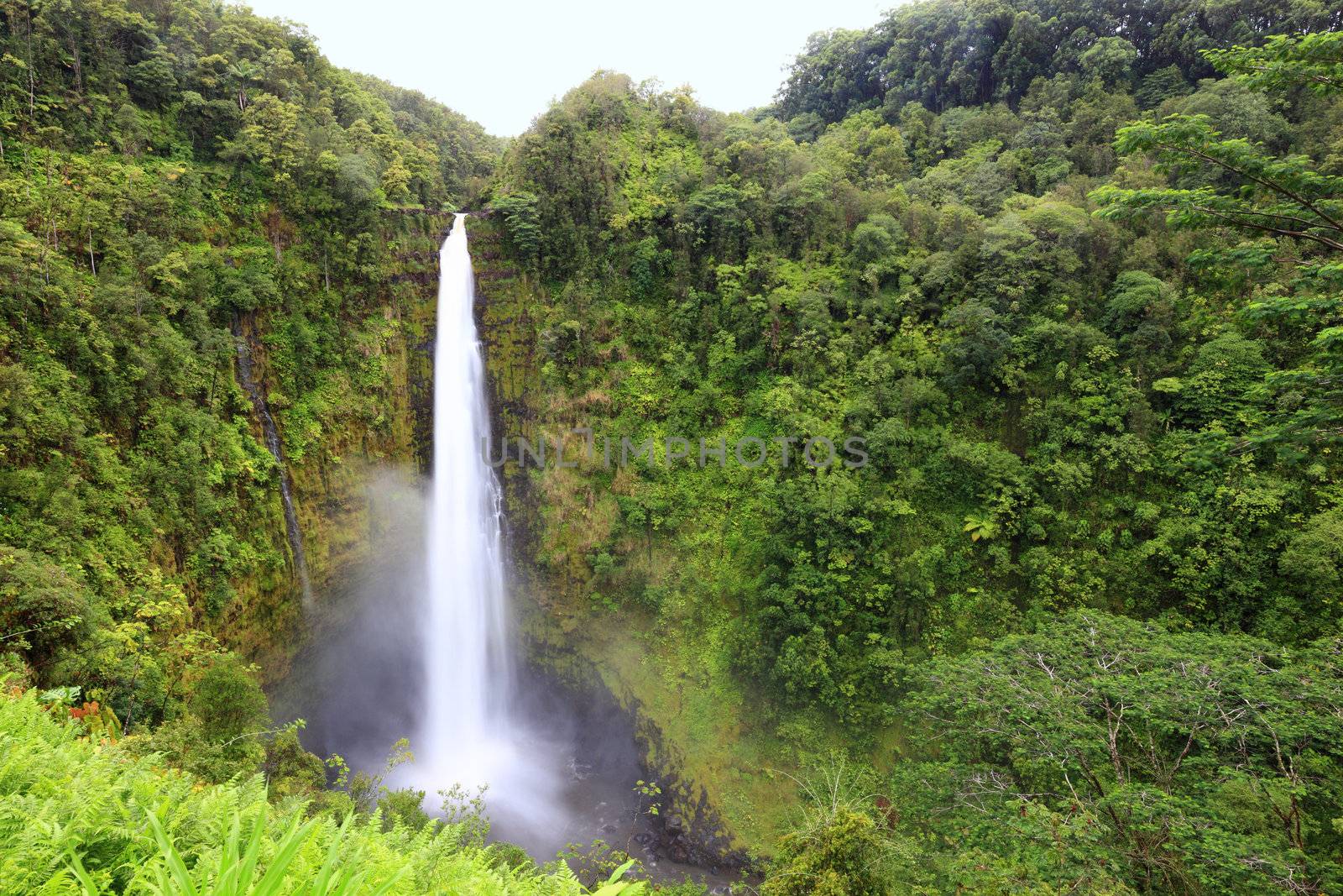 Waterfall - Akaka falls Hawaii by Maridav