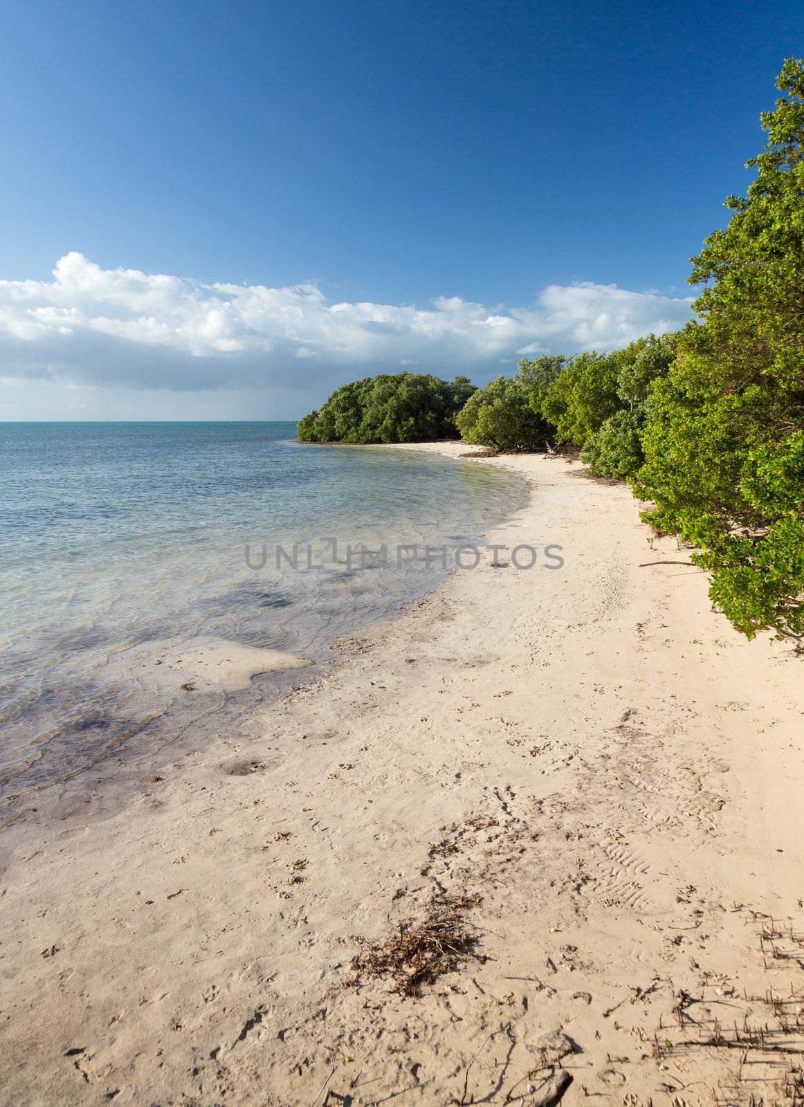 Anne's Beach by roadside in Florida Keys by Route 1 Overseas Highway