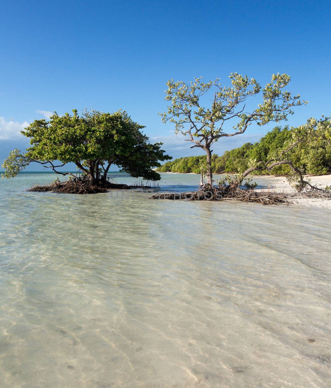 Anne's Beach by roadside in Florida Keys by Route 1 Overseas Highway