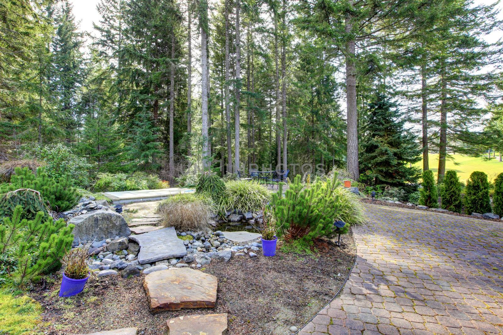 Backyard landscape with pine trees and stone steps to pond.