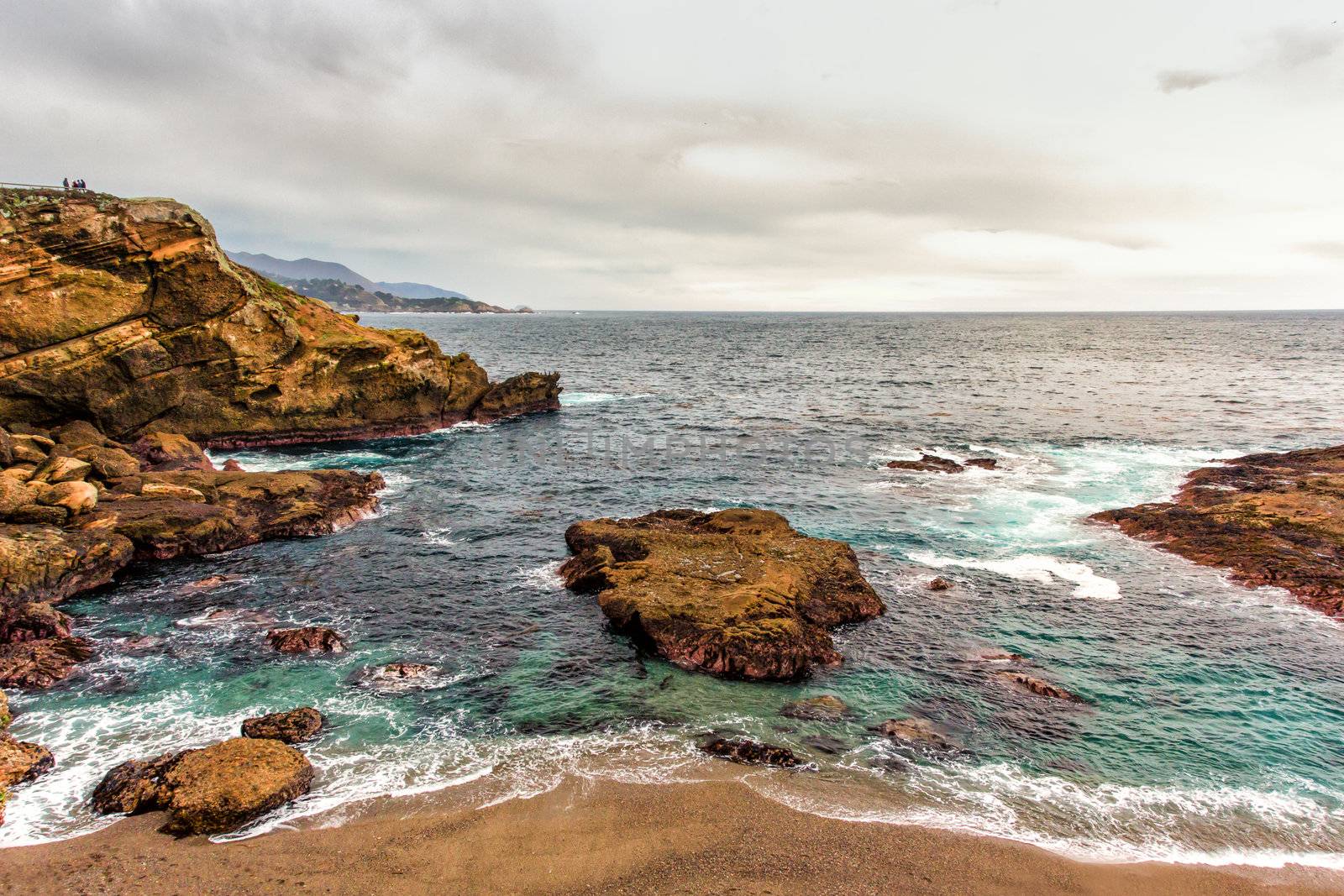 Point Lobos State Natural Reserve  by wolterk