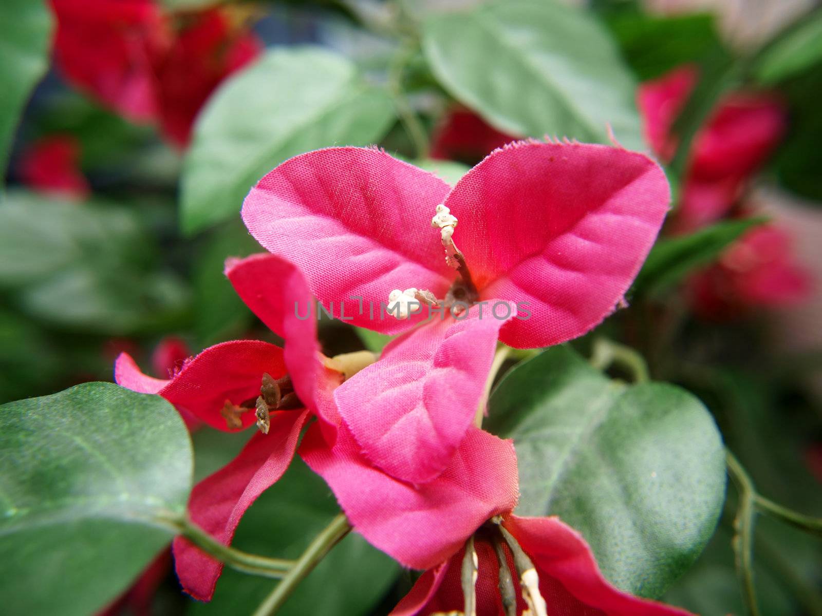 Bougainvillea flower, pink color, fake, made of fabric by Arvebettum