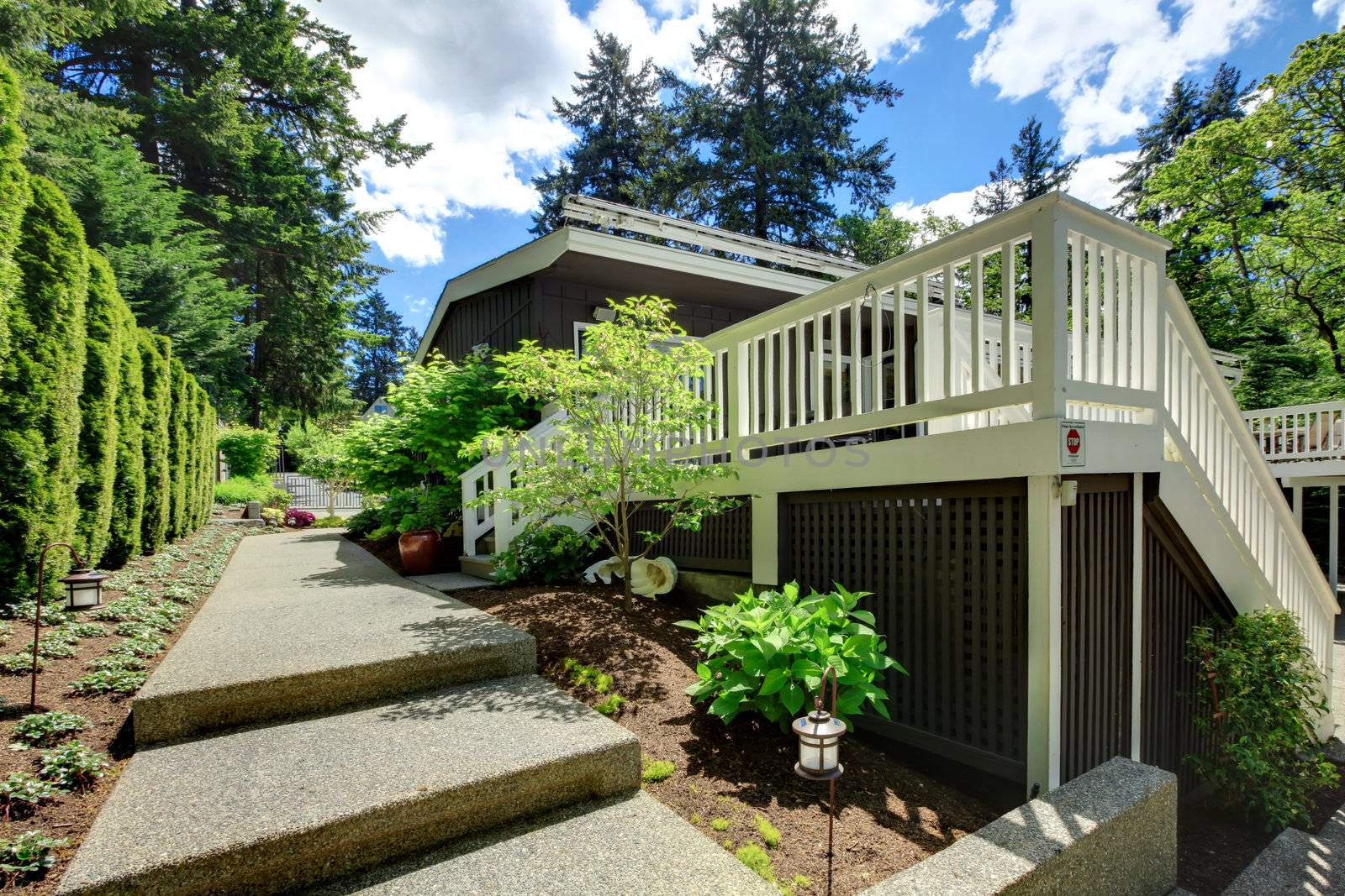 Large house back yard with large deck and walkway.