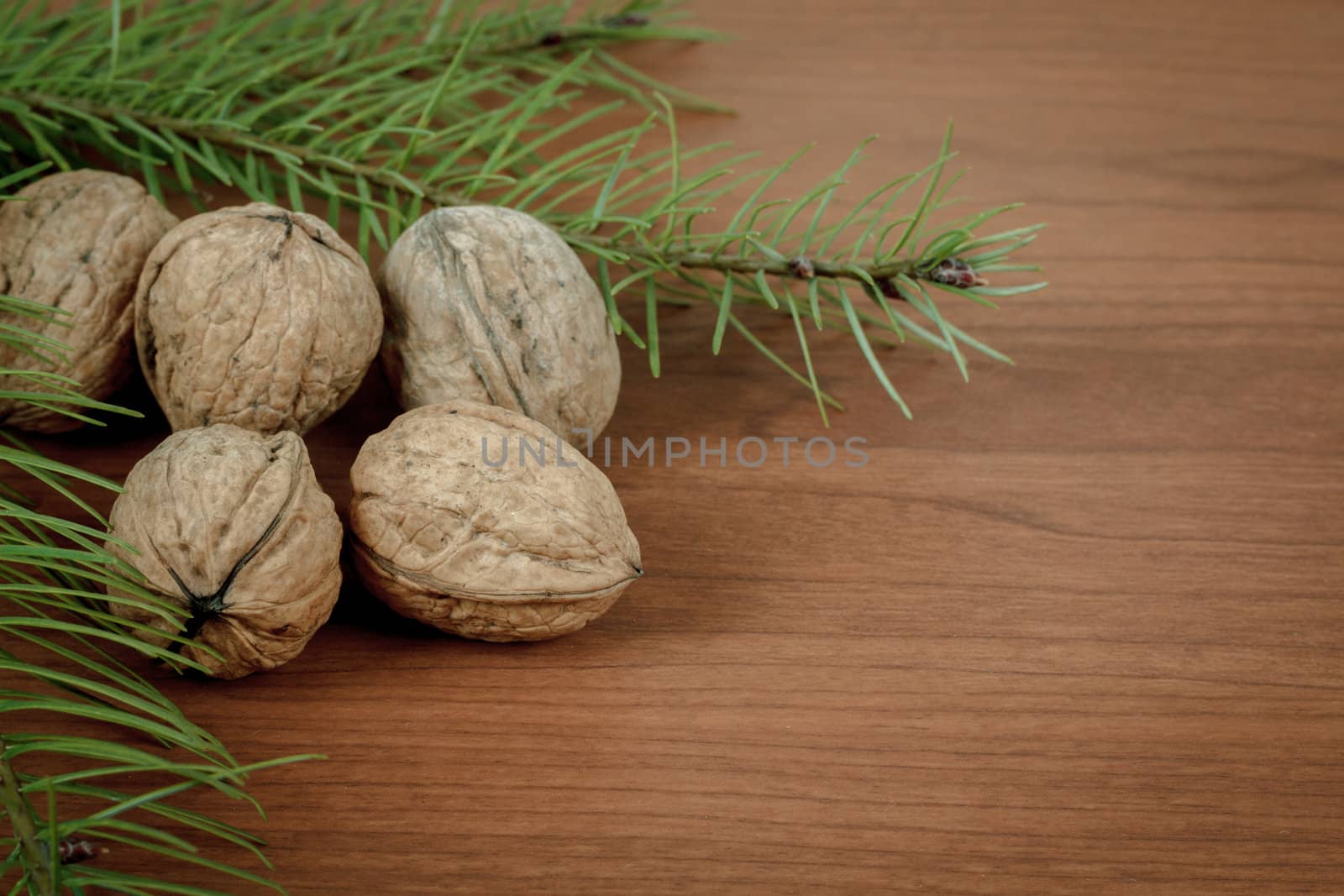 walnuts on wooden background with green needles
